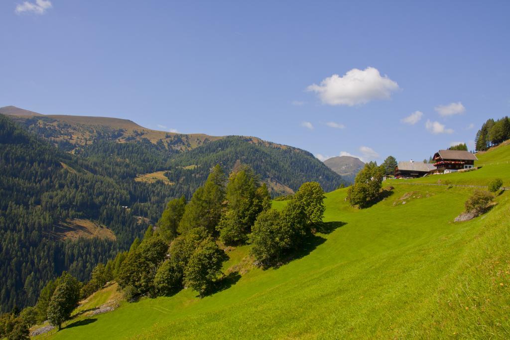 Schrunerhof Ebene Reichenau Номер фото